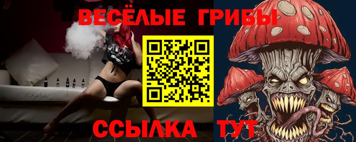 Псилоцибиновые грибы Psilocybine cubensis Богородск